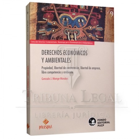 DERECHOS ECONÓMICOS Y...