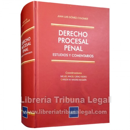 DERECHO PROCESAL PENAL...