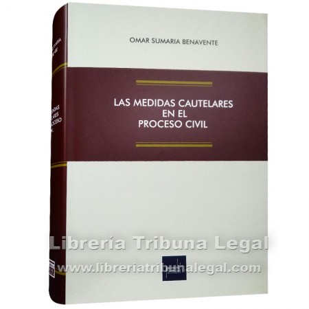 LAS MEDIDAS CAUTELARES EN...