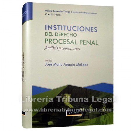 INSTITUCIONES DEL DERECHO...