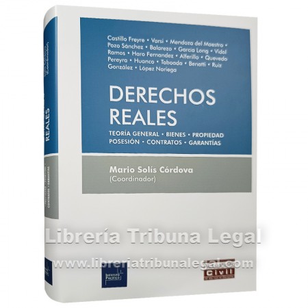 DERECHOS REALES. TEORÍA...