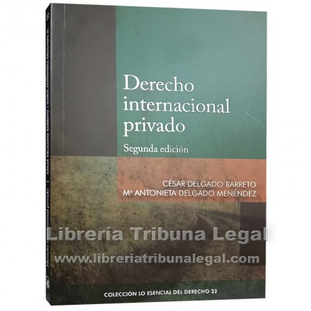 DERECHO INTERNACIONAL...