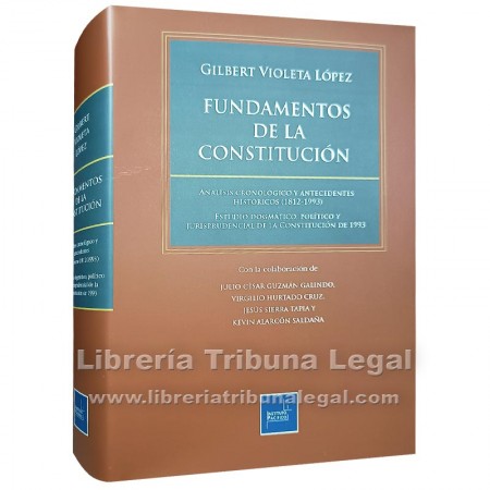 FUNDAMENTOS DE LA CONSTITUCIÓN