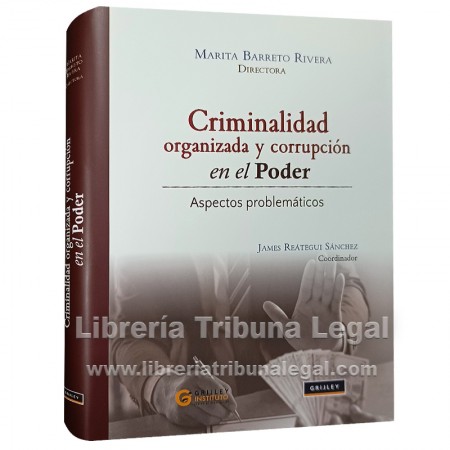 CRIMINALIDAD ORGANIZADA Y...