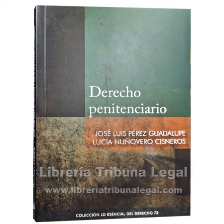 DERECHO PENITENCIARIO PENAL...