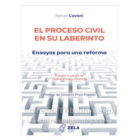 EL PROCESO CIVIL EN SU...