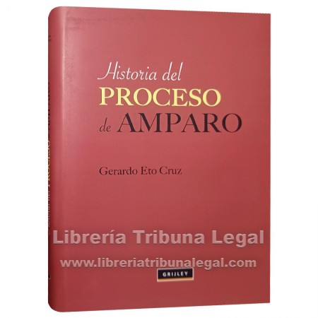 HISTORIA DEL PROCESO DE AMPARO