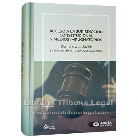 ACCESO A LA JURISDICCIÓN...