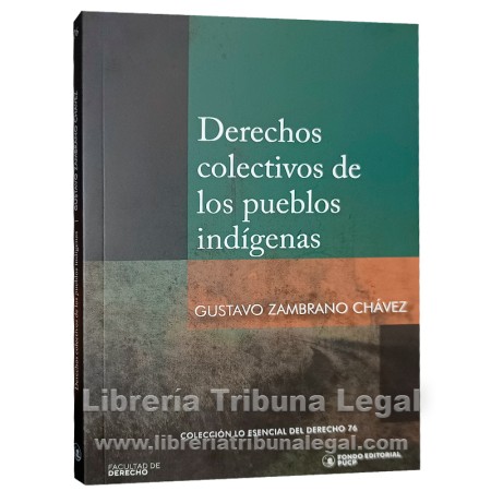 LOS DERECHOS COLECTIVOS DE...