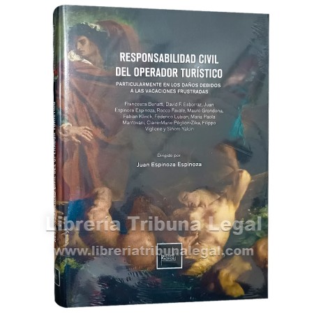 RESPONSABILIDAD CIVIL DEL...