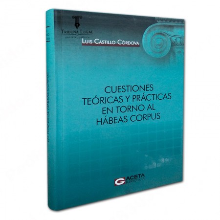 CUESTIONES TEÓRICAS Y...