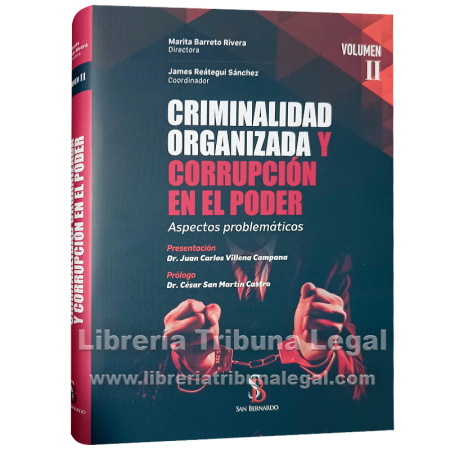 CRIMINALIDAD ORGANIZADA Y...