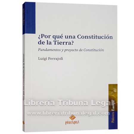 ¿POR QUÉ UNA CONSTITUCIÓN...