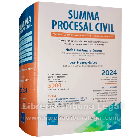 SUMMA PROCESAL CIVIL 2024