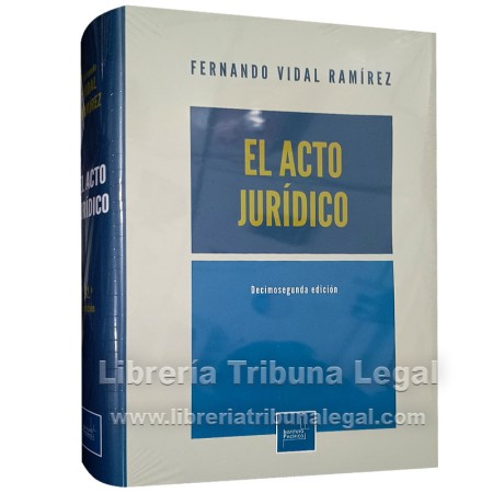 EL ACTO JURÍDICO 2024