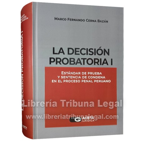 LA DECISIÓN PROBATORIA I