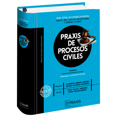 PRAXIS DE PROCESOS CIVILES