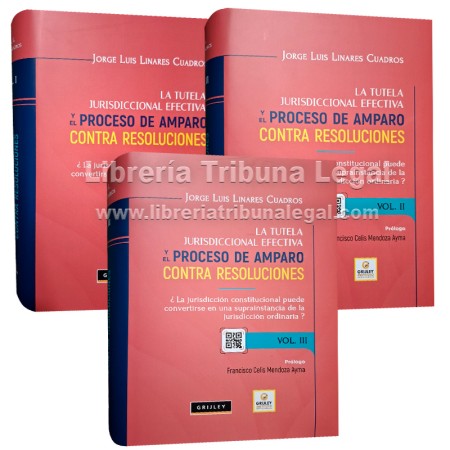 LA TUTELA JURISDICCIONAL...