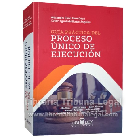 GUÍA PRÁCTICA DEL PROCESO...