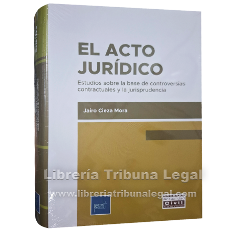 EL ACTO JURIDICO