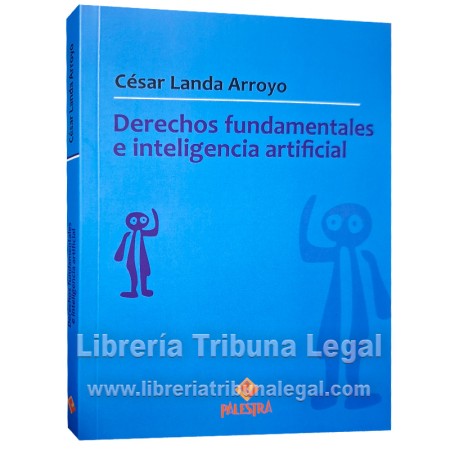 DERECHOS FUNDAMENTALES E...