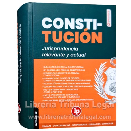 CONSTITUCIÓN JURISPRUDENCIA...