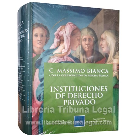 INSTITUCIONES DE DERECHO...