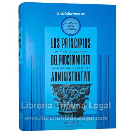 LOS PRINCIPIOS DEL...