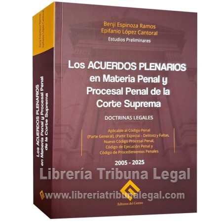 LOS ACUERDOS PLENARIOS EN...