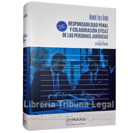 RESPONSABILIDAD PENAL Y...