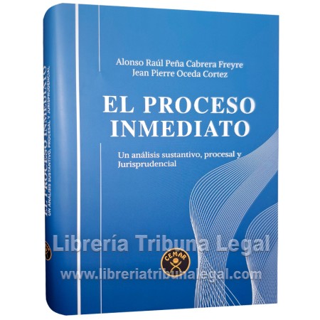 EL PROCESO INMEDIATO UN...