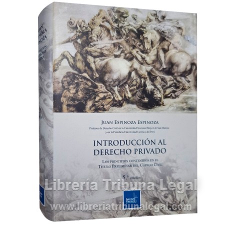 INTRODUCCIÓN AL DERECHO...