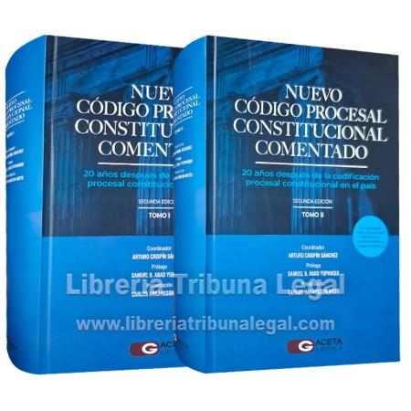 NUEVO CÓDIGO PROCESAL...