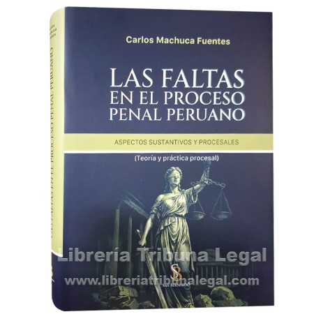 LAS FALTAS EN EL PROCESO...