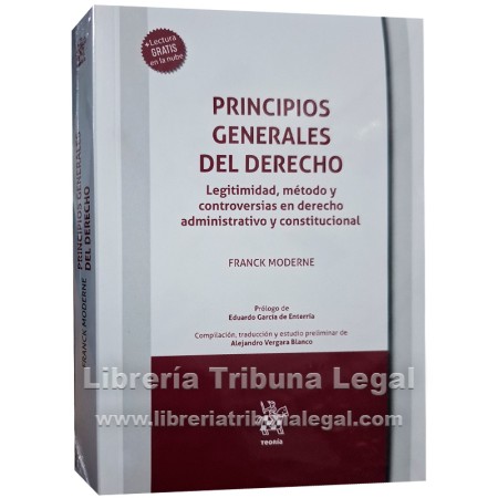 PRINCIPIOS GENERALES DEL...