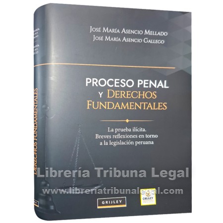 PROCESO PENAL Y DERECHOS...