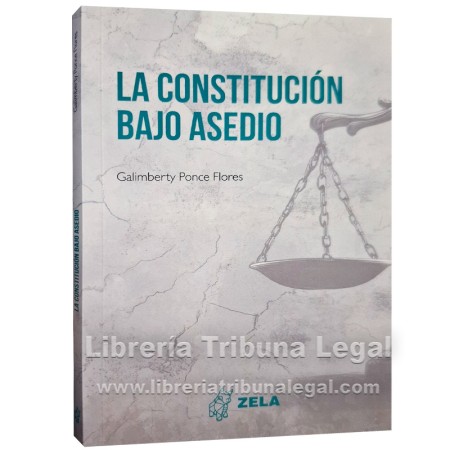 LA CONSTITUCIÓN BAJO ASEDIO