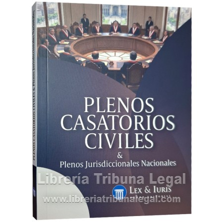 PLENOS CASATORIOS CIVILES &...