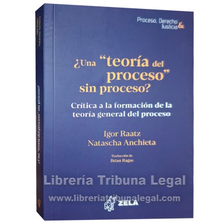 ¿UNA “TEORÍA DEL PROCESO”...