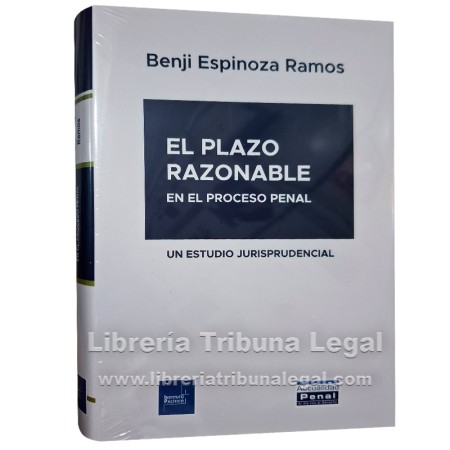 EL PLAZO RAZONABLE EN EL...