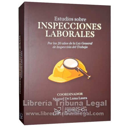 ESTUDIOS SOBRE INSPECCIÓN...