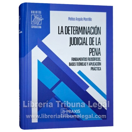 LA DETERMINACIÓN JUDICIAL...