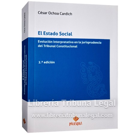 EL ESTADO SOCIAL
