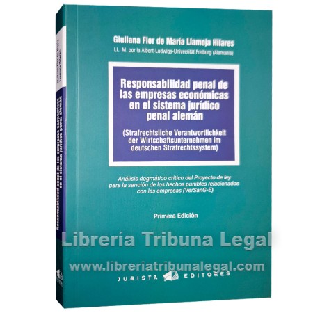 RESPONSABILIDAD PENAL DE...