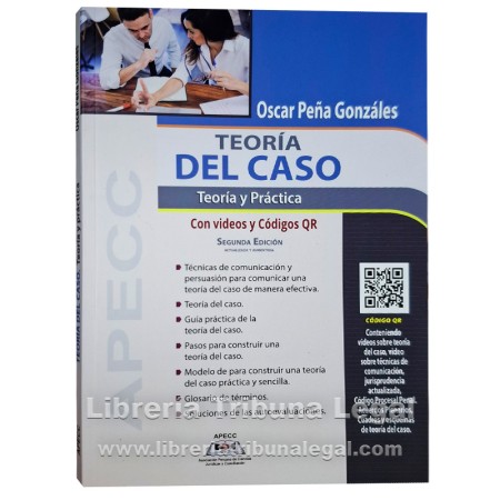 TEORÍA DEL CASO. TEORÍA Y...