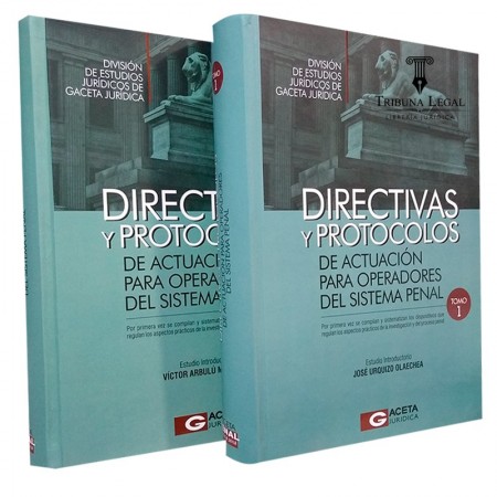 DIRECTIVAS Y PROTOCOLOS DE...