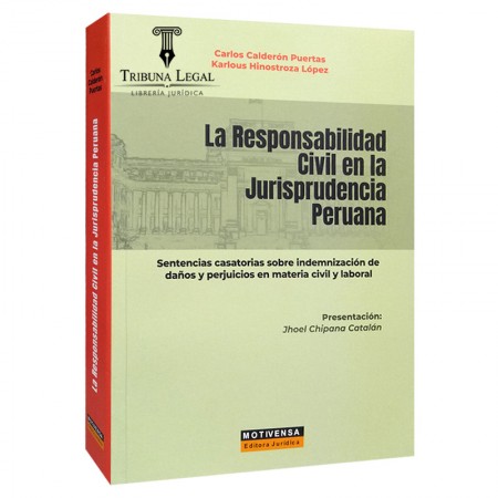 LA RESPONSABILIDAD CIVIL EN...