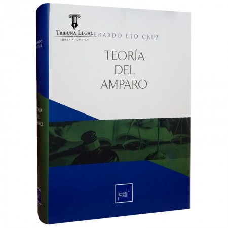 TEORÍA DEL AMPARO