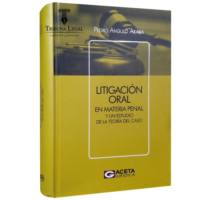 LITIGACIÓN ORAL EN MATERIAL PENALY UN ESTUDIO DE LA TEORÍA DEL CASO
