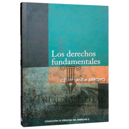 LOS DERECHOS FUNDAMENTALES...